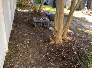 Leaf Removal by Jermaine Cooper for Renee B. in Ocoee, FL