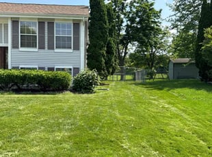 Benjamin H.'s Lawn Maintenance service result