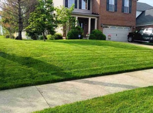 Kareem T.'s Lawn Maintenance service result