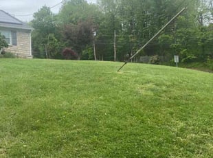 Willliam W.'s Lawn Service service result
