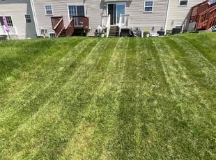 Wynter J.'s Lawn Care service result