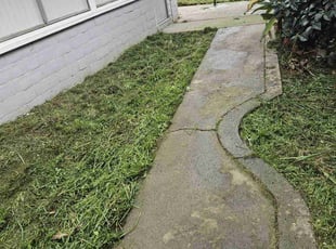 Priscilla S.'s Lawn Mowing service result
