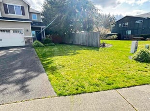 Yolanda L.'s Lawn Service service result