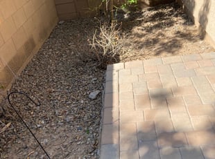 Leaf Removal by Maria Gonzalez for Jinglun L. in Chandler, AZ