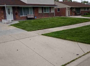 Taylor B.'s Lawn Mowing service result