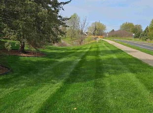 Megan E.'s Lawn Care service result