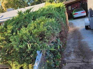 Cleanups by Juan Rodriguez for Jeff M. in Sacramento, CA