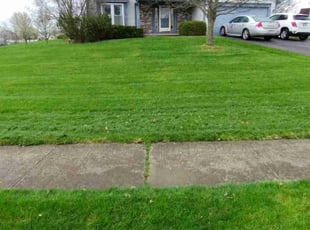 Maureen J.'s Lawn Care service result
