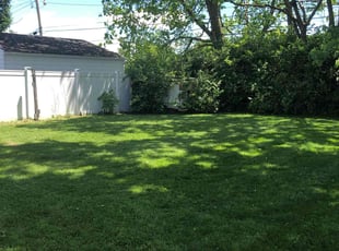 Todd T.'s Lawn Service service result