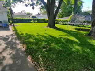 norvell C.'s Lawn Care service result