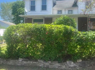 Bush Trimming by Nick Homick for Andrea S. in Pittston, PA