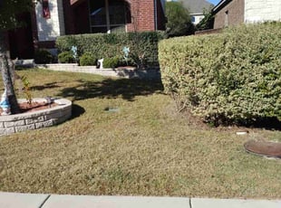 Bush Trimming by Gregory Carter for Bill B. in Pflugerville, TX