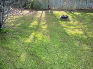 Sean D.'s Yard Cutting service result
