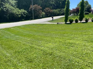 Kevin M.'s Grass Cutting service result