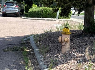 Bush Trimming by John Christensen for Josua B. in Colorado Springs, CO