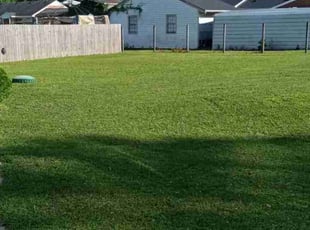 Diane O.'s Lawn Mowing service result