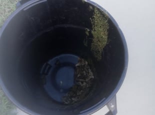 Cleanups by Marlo Page for William J. in Mechanicsville, VA