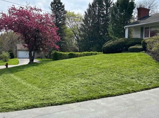Janet F.'s Lawn Care service result