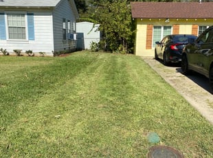 Masha S.'s Lawn Maintenance service result