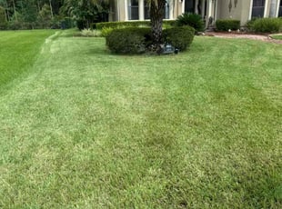 Lucy M.'s Lawn Maintenance service result
