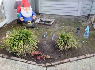 Weeding by Rolando Mojica Betancourt for Jose D C. in Kissimmee, FL