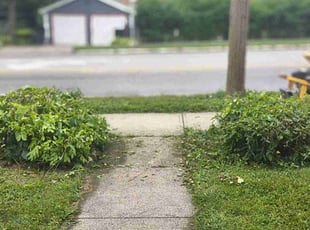 Bush Trimming by Kevin Philips for Nichole J. in Cincinnati, OH