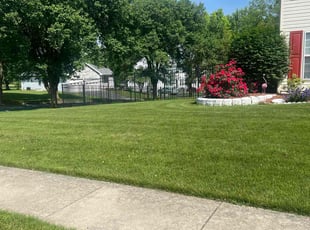 Elizabeth D.'s Lawn Service service result
