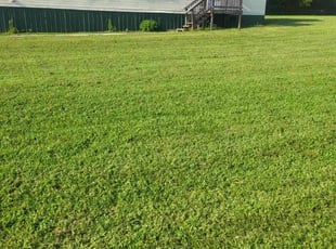 WILLIAM G.'s Lawn Mowing Service service result