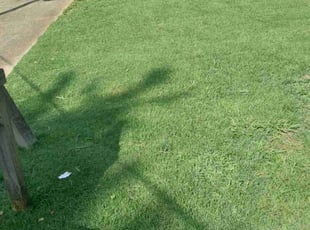 Sendal S.'s Grass Cutting service result