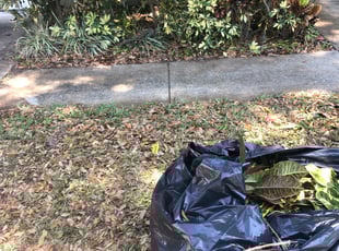 Bush Trimming by Jonathan Cruz for Robert Q. in South Daytona, FL