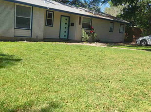 Michelle J.'s Lawn Mowing service result
