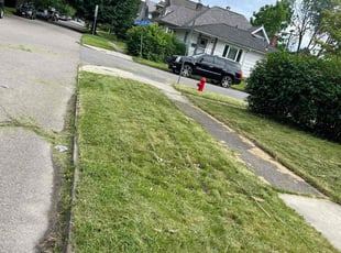 Bush Trimming by Howard Hampton for David M. in Buffalo, NY
