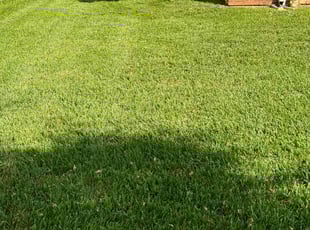 Gary G.'s Lawn Care service result