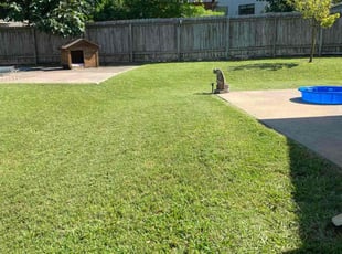 Karen S.'s Lawn Care service result