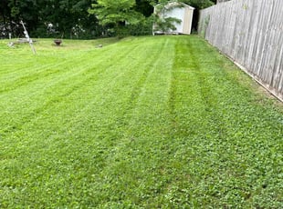 Kirtley C.'s Yard Cutting service result