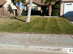 Larry C.'s Lawn Mowing Service service result