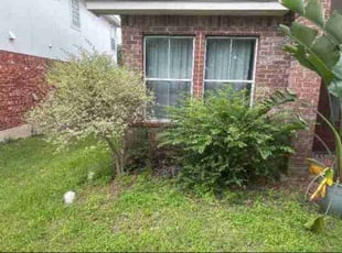 Bush Trimming by Leobardo Sanchez for Brian E. in Pflugerville, TX