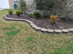 Weeding by Yanet Maciel for Dennis M. in Pearland, TX