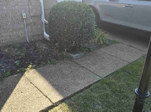 Bush Trimming by Tamarcus Jones for Jamil T. in Cordova, TN