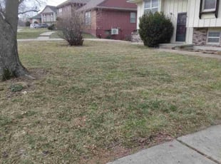 Leaf Removal by James Buchanan for Darrick M. in Kansas City, MO