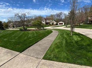 Gerald G.'s Lawn Service service result