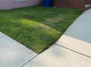 Jason J.'s Lawn Maintenance service result