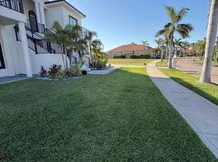 Jonathan H.'s Grass Cutting service result