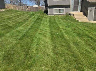 Ken B.'s Lawn Service service result