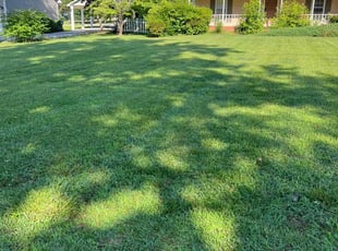 Rhonda A.'s Lawn Service service result