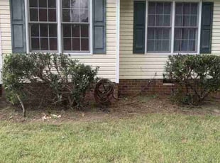 Bush Trimming by Alfredo Vega for EDWARD S. in Mechanicsville, VA