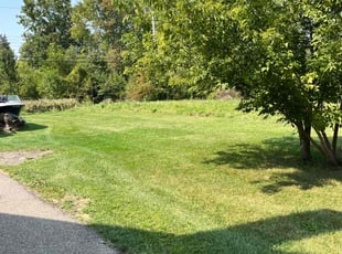 Yongsuk C.'s Lawn Care service result