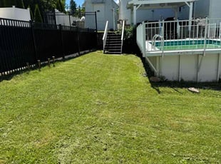 Gary J.'s Lawn Mowing service result