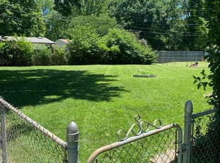 Nyto G.'s Lawn Care service result