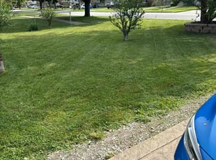 Jimmie S.'s Lawn Maintenance service result